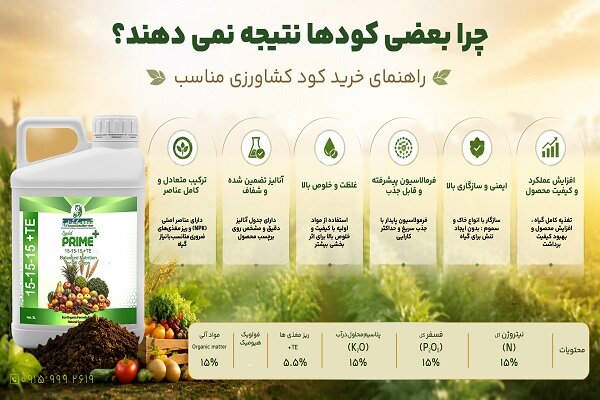 چرا بعضی کودها نتیجه نمی‌دهند؟/ راهنمای خرید کود کشاورزی مناسب