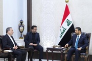 عراقجي: على دول المنطقة عدم السماح باستخدام أراضيها لمهاجمة إيران