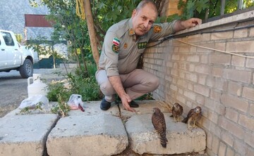 سه قطعه جوجه دلیجه به محیط زیست سروآباد تحویل داده شد