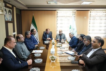زارع: بازرسی مشاوری امین برای ارتقای کارآمدی دستگاه‌های اجرایی است