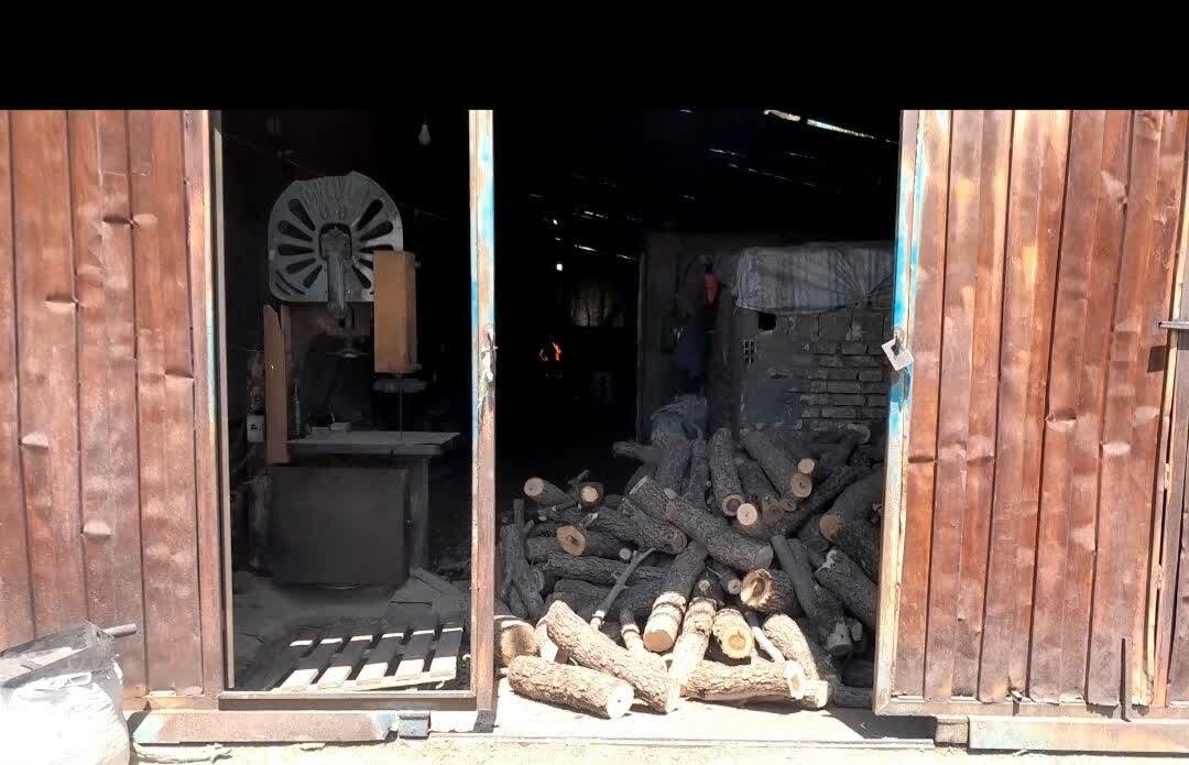 طبيعي،منابع،استان،حفاظت،ذغال،يگان