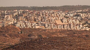 Palestine envoy urges intl. bodies to stop Israeli annexation