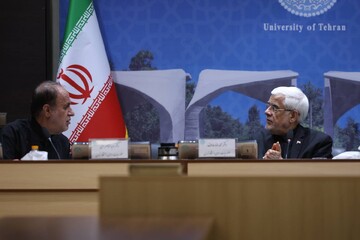 عارف: برخی خارج از دولت جلوی افزایش حقوق اساتید را گرفتند