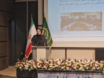 جلیلی‌مقدم: مبارزه با آفات گندم در کشور از مرز ۲.۶ میلیون هکتار گذشت