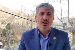 اظهارات عجیب شهردار دماوند در خصوص مرگ تدریجی درخت ها
