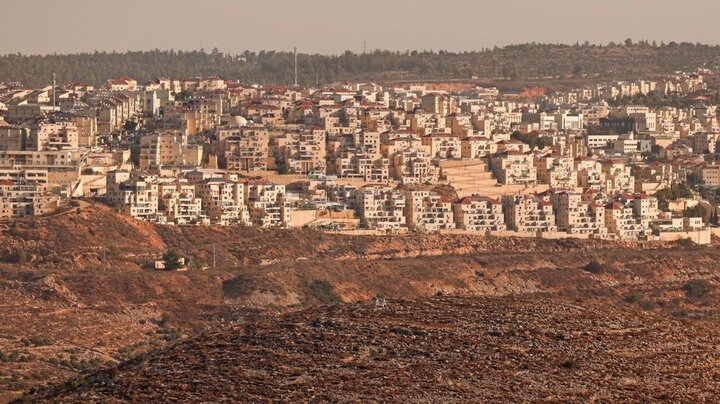 Palestine envoy urges intl. bodies to stop Israeli annexation