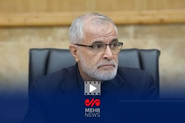 توضیحات دبیر ستاد تشییع رهبر شهید انقلاب اسلامی درباره روزها ...