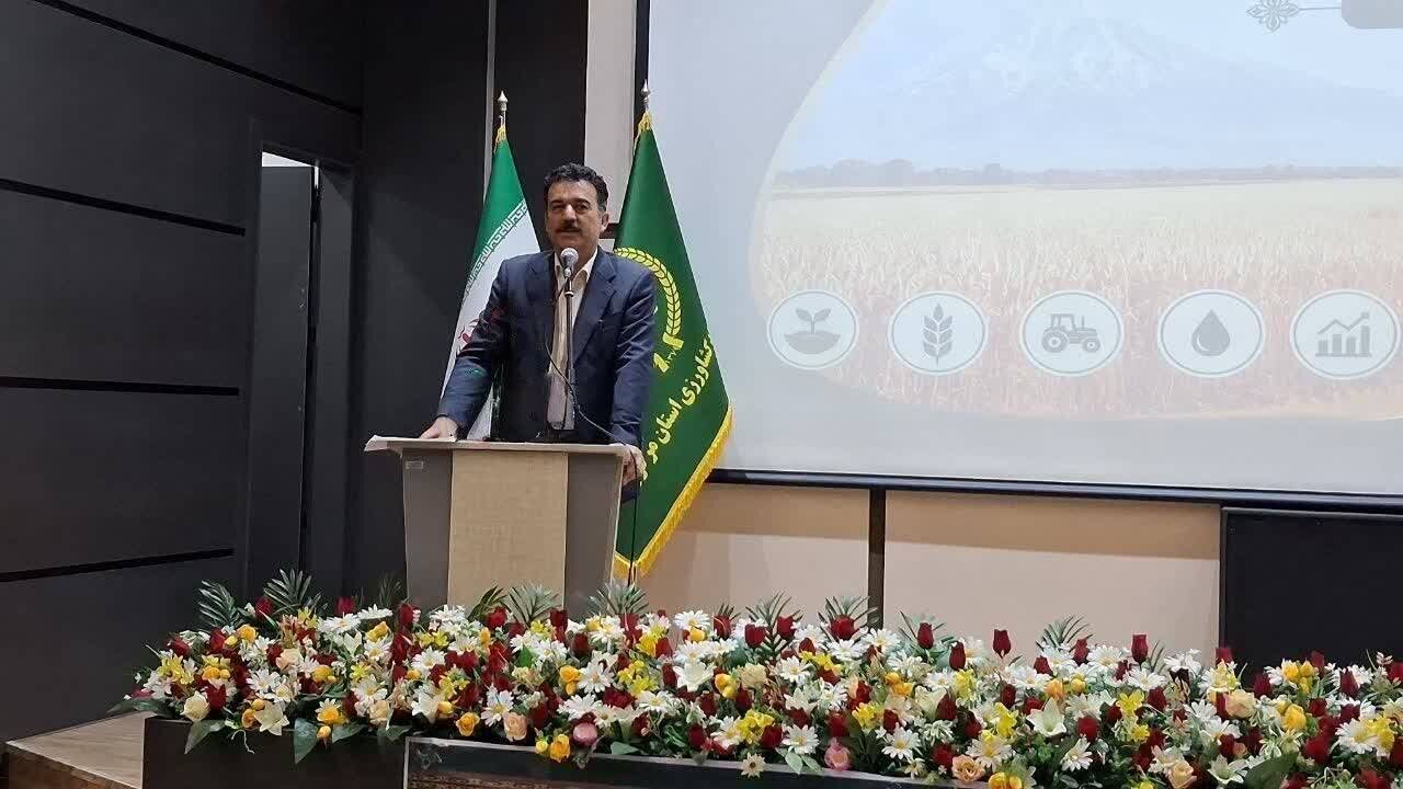 توليد،افزايش،كشور،گندم،كشت،كشاورزي،توليدكنندگان،محصول،حوزه،ت ...