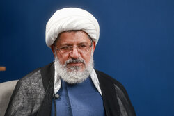شیرازی: اربعین امسال پیوند ملت‌های ایران و عراق را عمیق‌تر کرد