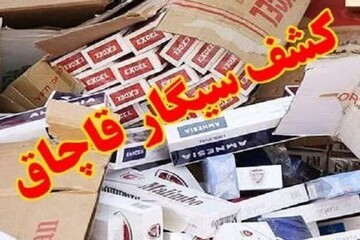 کشف نزدیک به ۱۰۰ هزار نخ سیگار قاچاق در عملیات مرزبانان کردستان