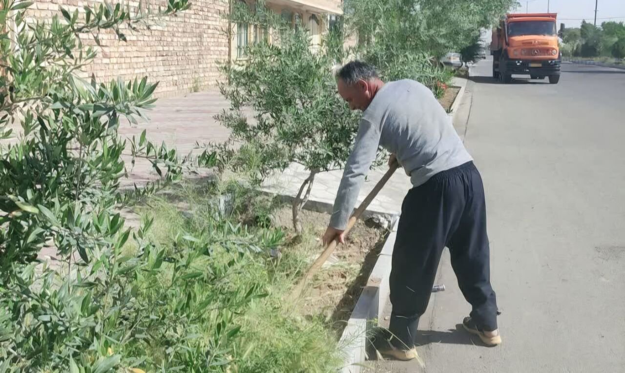 روستا،سبز،روستاي،مديريت،محمدآباد،صنوف،كارگاهي،روستاهاي،بهينه ...
