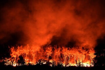 Huge fire rips through in Fontainebleau Forest near Paris