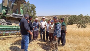 پایش روزانه روند برداشت محصولات زراعی توسط جهاد کشاورزی لرستان