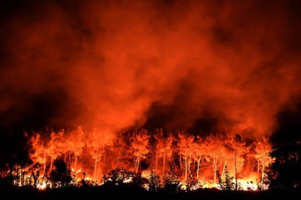 Huge fire rips through in Fontainebleau Forest near Paris