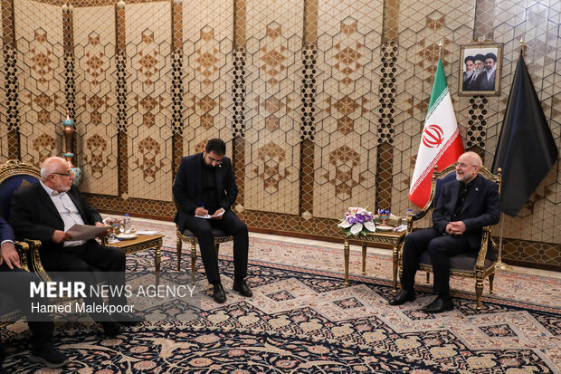 دیدار عضو ارشد جنبش امل لبنان با قالیباف