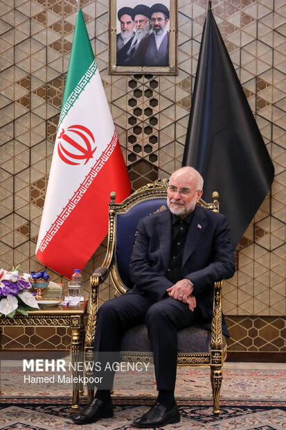 دیدار عضو ارشد جنبش امل لبنان با قالیباف