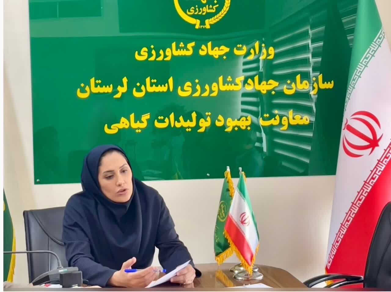 برداشت بیش از ۲۹۰۰ تن عدس در دیمزارهای لرستان