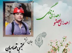 اهدای اعضای جوان شیرازی در شاهرود، جان چند هموطن را نجات داد