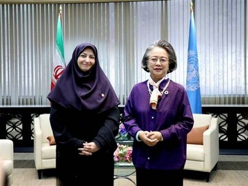 Iran discusses developing environmental ties with UN, Pakistan, Maldives 