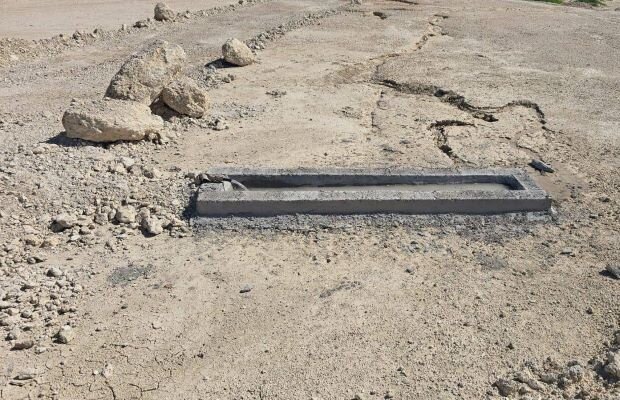 جزيره،خارگ،حفاظت،زيست،محيط،استان،وحش،بوشهر