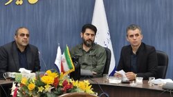 ملخ به مزارع پشتکوه رسید؛ فرماندار مهدیشهر خواهان اقدام فوری شد