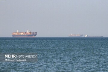 Trade between Iran, Qatar resumed: official