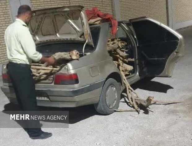 کشف محموله تاغ در خودرو سواری محور میامی؛ راننده دستگیر شد
