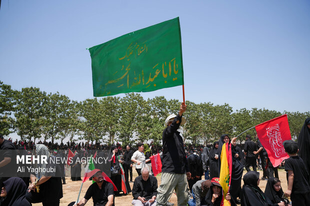 مراسم تشییع پیکر مطهر رهبر شهید انقلاب در تهران - ۱۴