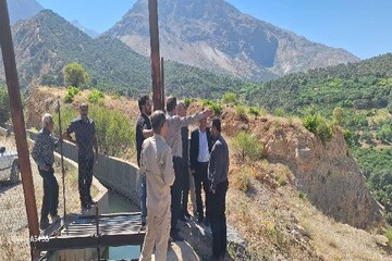 آغاز ایمن‌سازی کانال نیروگاه سی‌سخت برای پایان دادن به تلفات حیات‌وحش