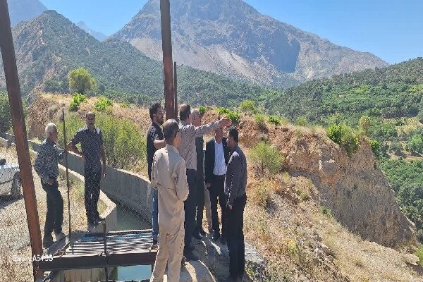 آغاز ایمن‌سازی کانال نیروگاه سی‌سخت برای پایان دادن به تلفات حیات‌وحش