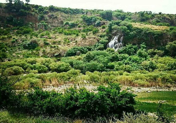 جنگل‌های کوهمره سرخی شیراز ظرفیت ملی فارس برای توسعه گردشگری طبیعی