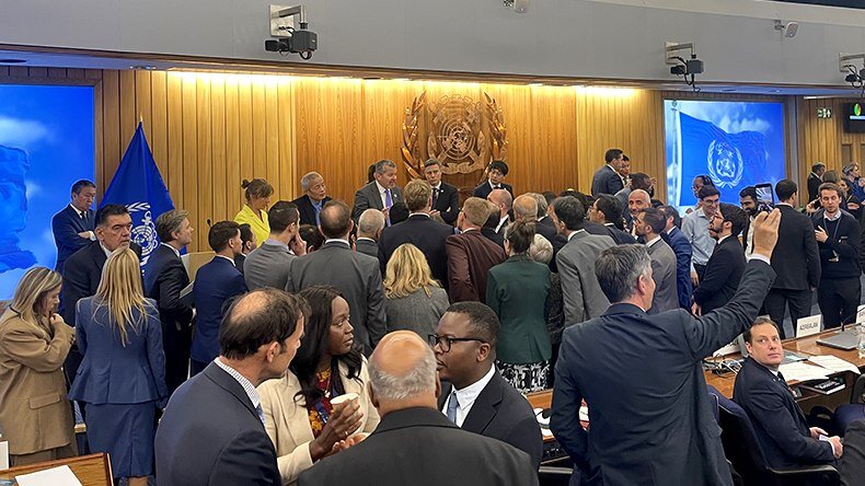Consejo de la Organización Marítima Internacional (OMI)