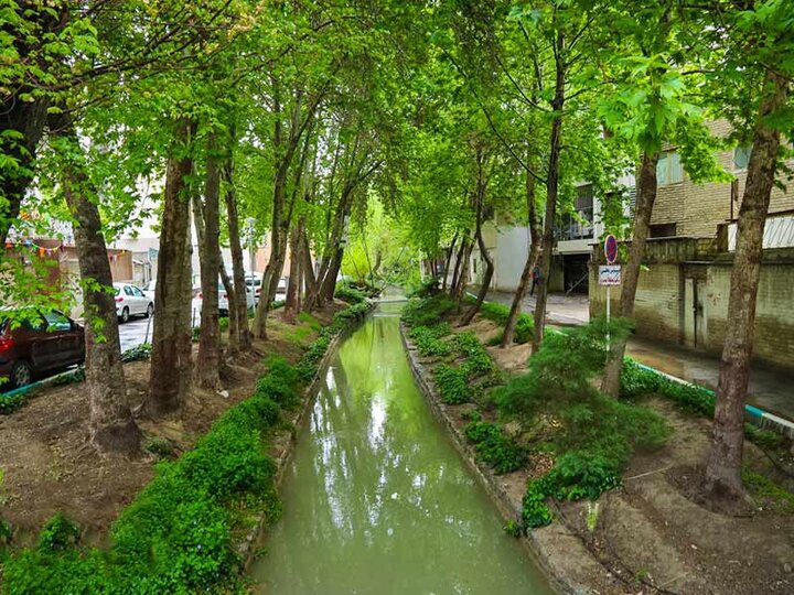 آمد و رفت آب در اصفهان؛ چنارها و نهرها تشنه ماندند