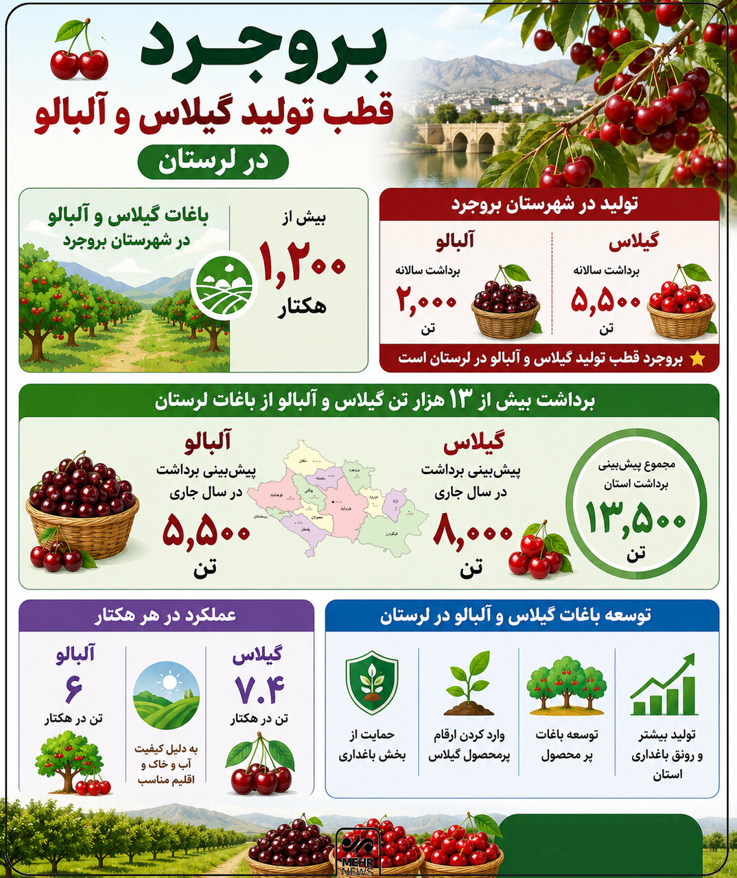 اینفوگرافیک؛ «بروجرد» قطب تولید گیلاس و آلبالو در لرستان