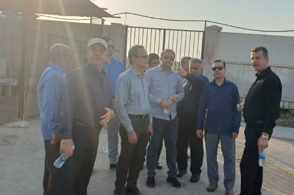 زندینیا: جمعهبازار باید در شأن شهروندان بوشهری ساماندهی شود