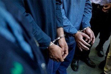 سارقان سیم برق در کنگان دستگیر شدند؛ کشف ۲۴فقره سرقت