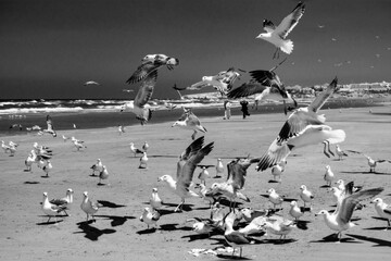 نمایش آثار ۱۸ هنرمند ایرانی در عمان