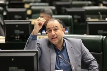 حمایت از خانواده نباید به برهم خوردن تعادل بازار خودرو منجر شود