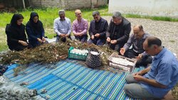 گزارش خبرنگار مهر از برداشت پیله کرم ابریشم در روستای کارسیدان آستانه