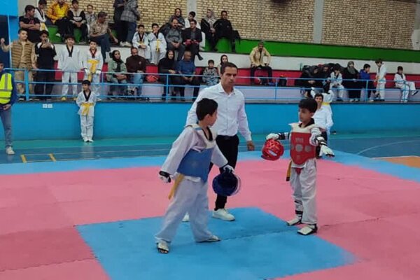 Champions of Hamadan Taekwondo U-14 selection competitions announced