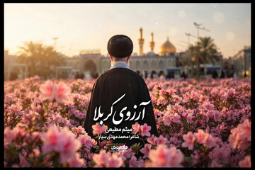 نماهنگ «آرزوی کربلا» منتشر شد؛ تماشای یک بدرقه تصویری