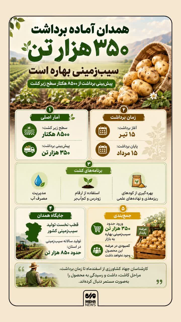 ایننفوگرافیک؛ ۸۵۰۰ هکتار از اراضی همدان زیر کشت سیب زمینی بهاره