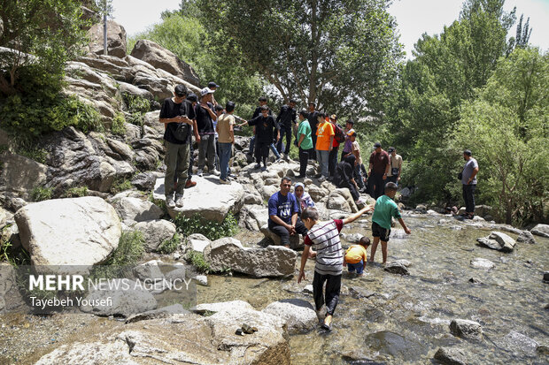 فرار از گرما در آبشار گنج‌نامه
