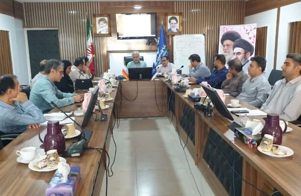 Latest disease status in Bushehr shrimp farms investigated