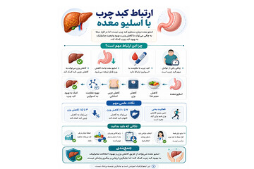 کبد چرب چیست و چرا با چاقی ارتباط دارد؟