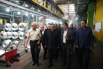 استاندار قزوین از ۲ واحد تولیدی بازدید کرد