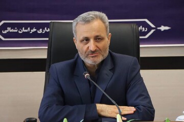 رجائی‌نیا: افزایش قیمت سیب‌زمینی در خراسان شمالی غیرمنطقی است