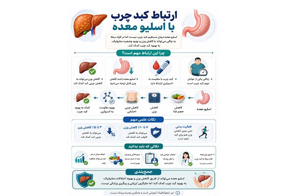 کبد چرب چیست و چرا با چاقی ارتباط دارد؟ کبد چرب چیست و چرا با چاقی ارتباط دارد؟
