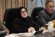 بازسازی شرکت‌های آسیب‌دیده با تمام توان دولت دنبال می‌شود