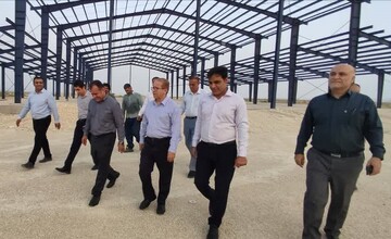 معاون استاندار بوشهر: تولیدکنندگان حمایت می شوند